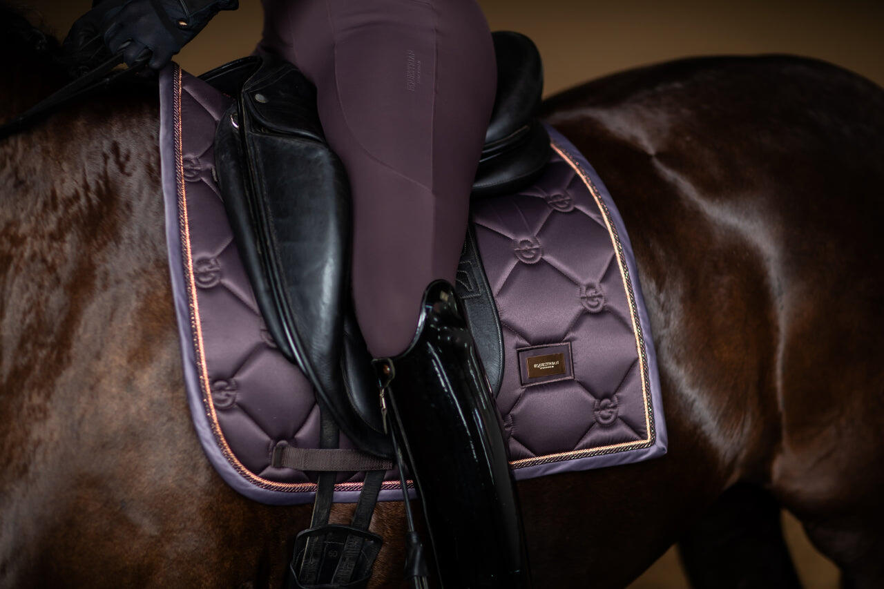 EQUESTRIAN STOCKHOLM picture