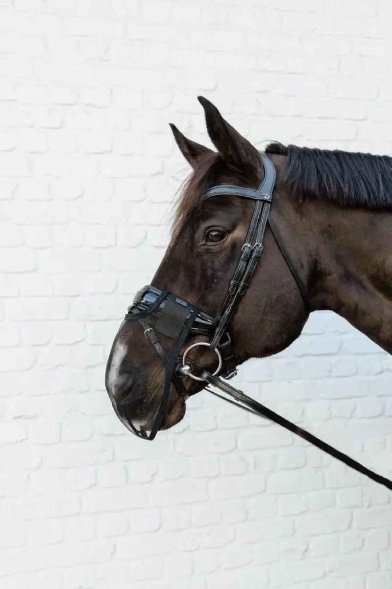 Máscara anti-voo para cavalos Kentucky 4/5
