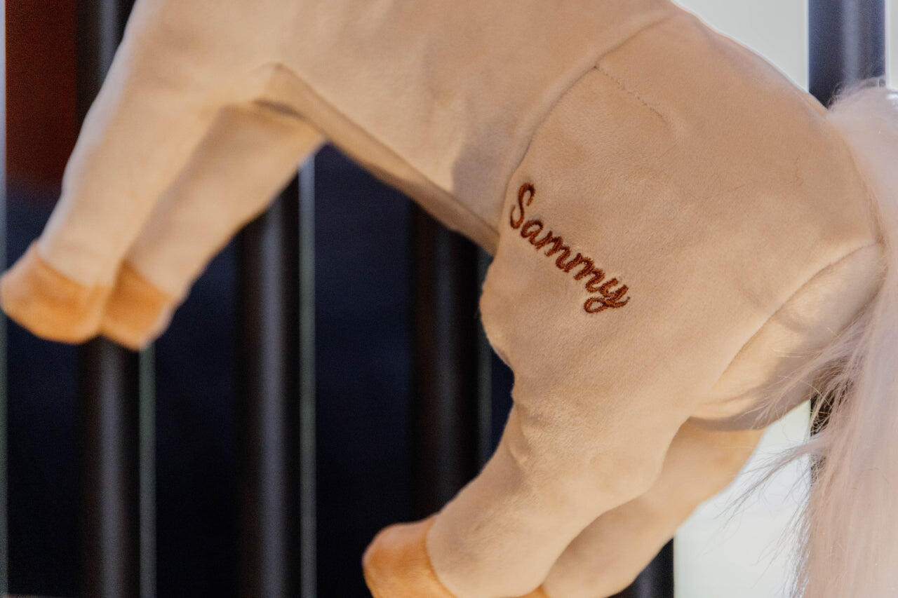 Jouet de boxe Poney Sammy - Kentucky 4/5