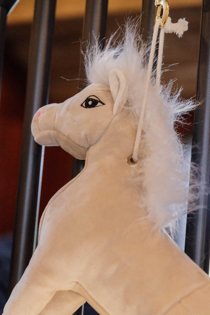 Jouet de boxe Poney Sammy - Kentucky 5/5