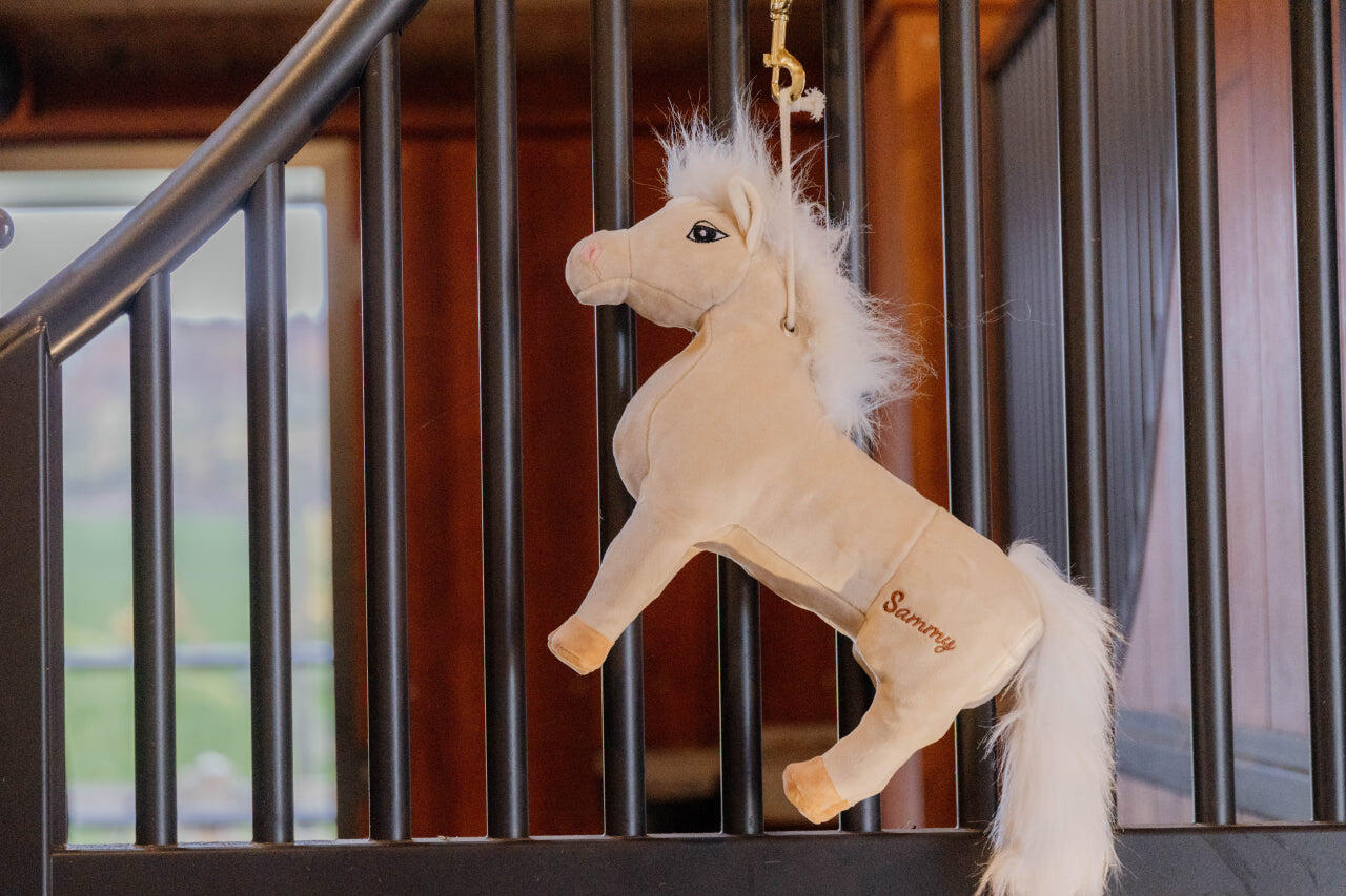 Jouet de boxe Poney Sammy - Kentucky 3/5