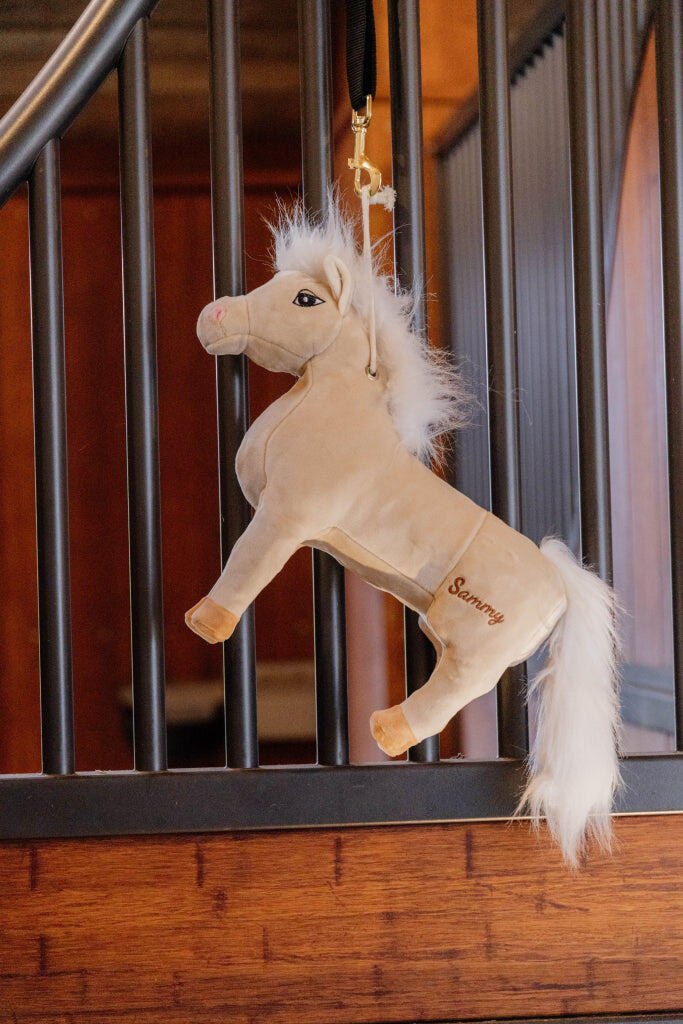 Jouet de boxe Poney Sammy - Kentucky 2/5