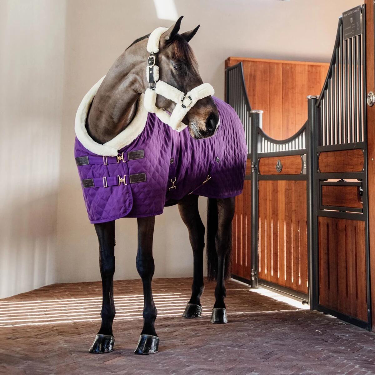 Couverture de présentation - 600D - 155 cm - Laine vegan - Mauve royal 4/5