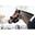 Kentucky Wollen Transport Halster Zwart -