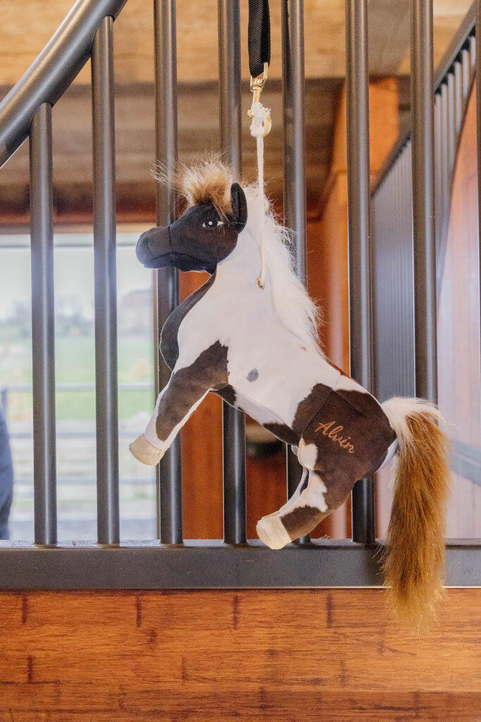 Jouet de boxe Poney Alvin - Kentucky 2/7