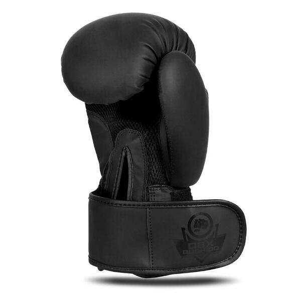 Boxerské rukavice DBX BUSHIDO B-2v21 10oz