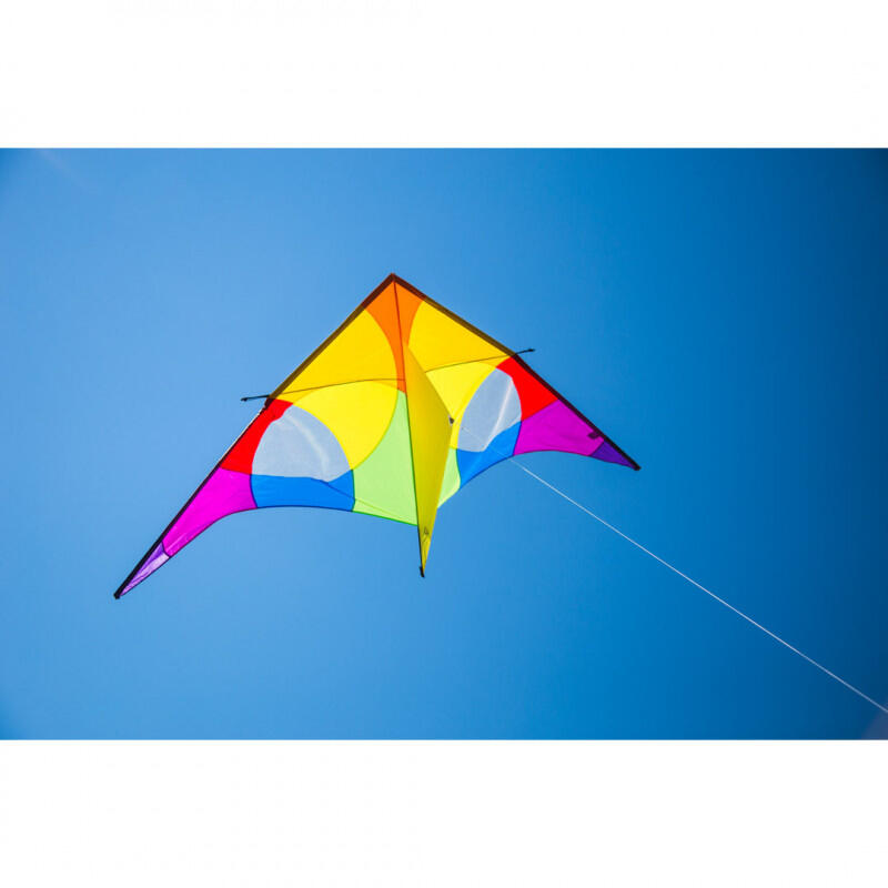 Eenlijnsvlieger HQ Delta Rainbow 3 m 10642030 Regenboog 300 x 138 cm 3/5