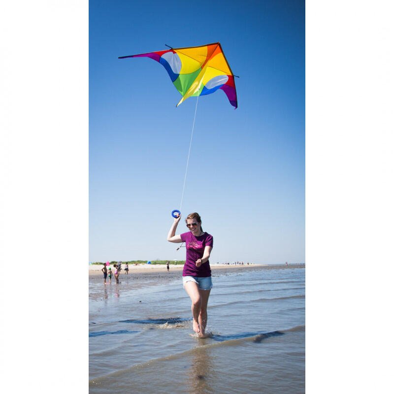 Cerf-volant Delta HQ Mandala Arc-en-ciel – 210 X 98 Cm – Voile Ripstop – Armature Carbone – Bridle 4 Points Réglable – 8-35 Km/h