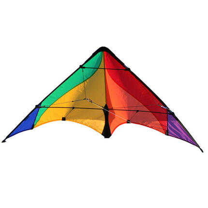 Cerfs-volants 2 lignes- Elliot- Delta Basic Vert /noir