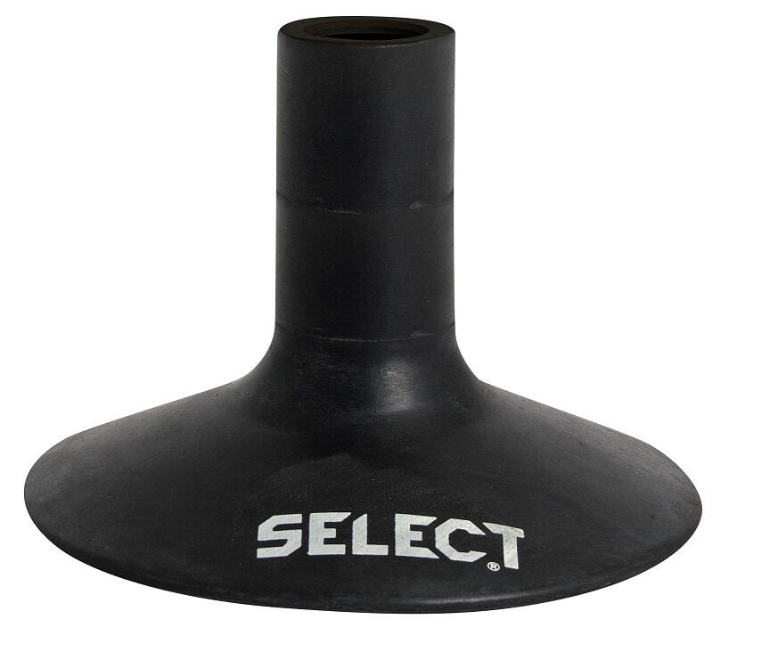 SELECT picture