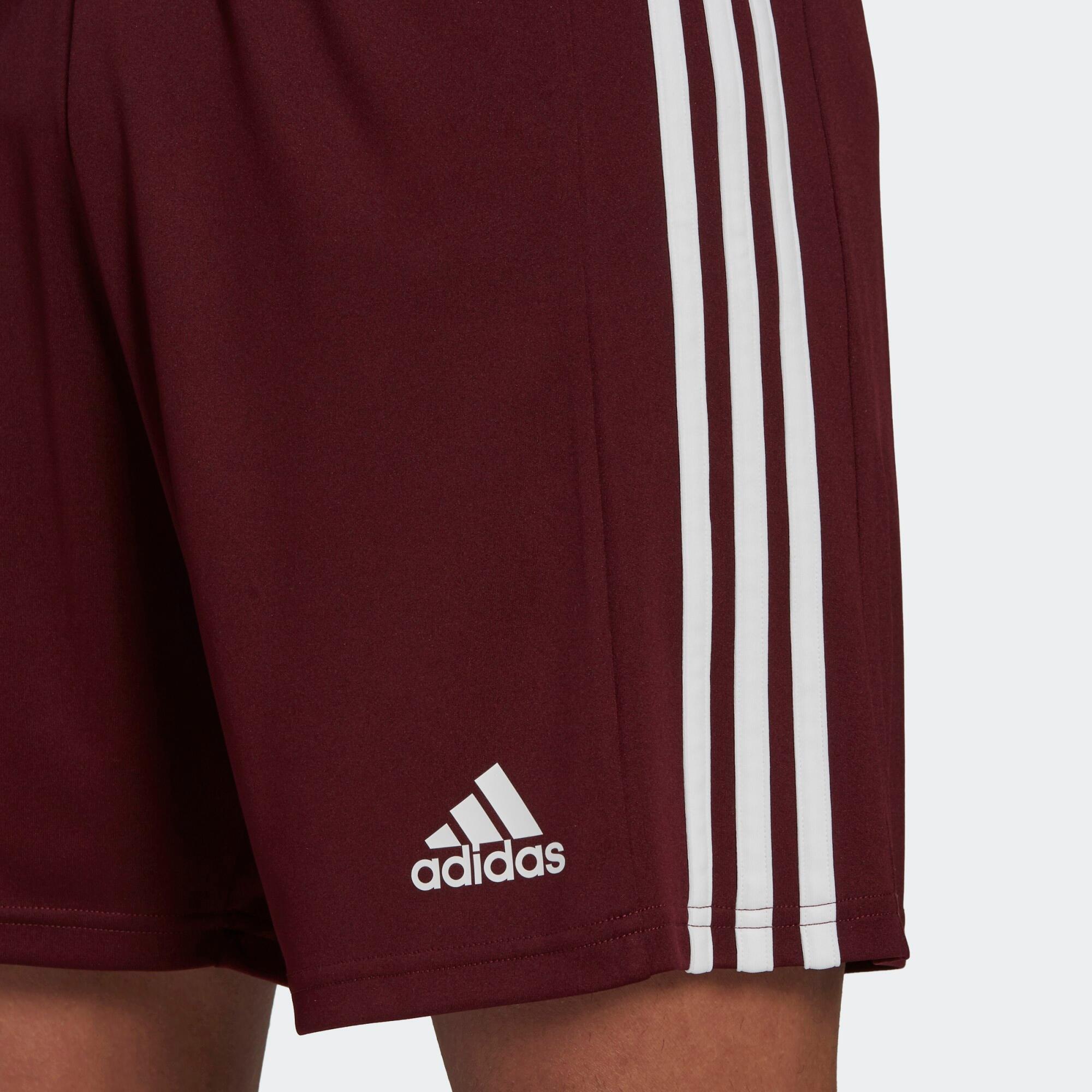 Short Squadra 21 5/5