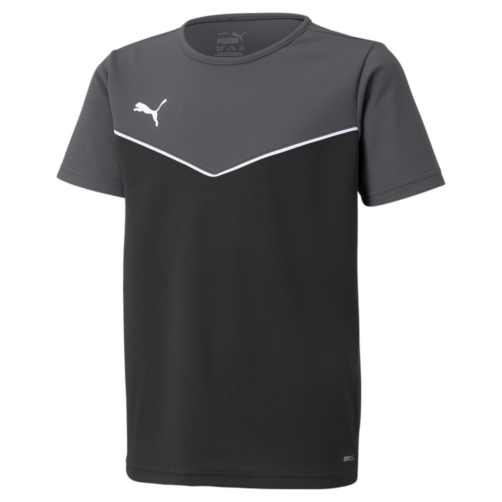 PUMA picture