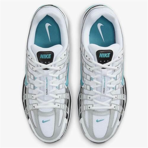P-6000 Dusty Cactus