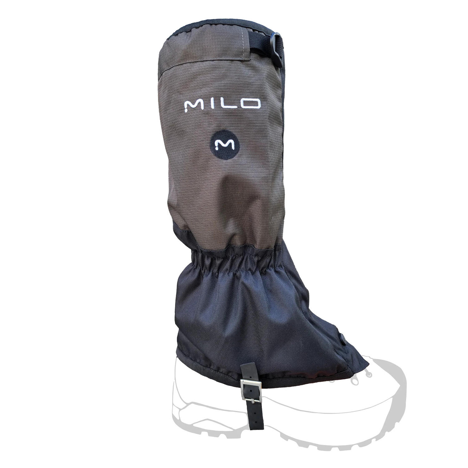 MILO picture