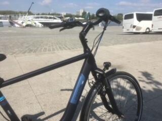 GAZELLE picture