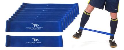 Fitness-Gummiband-Set 3er Blau mit Griffen und Türanker