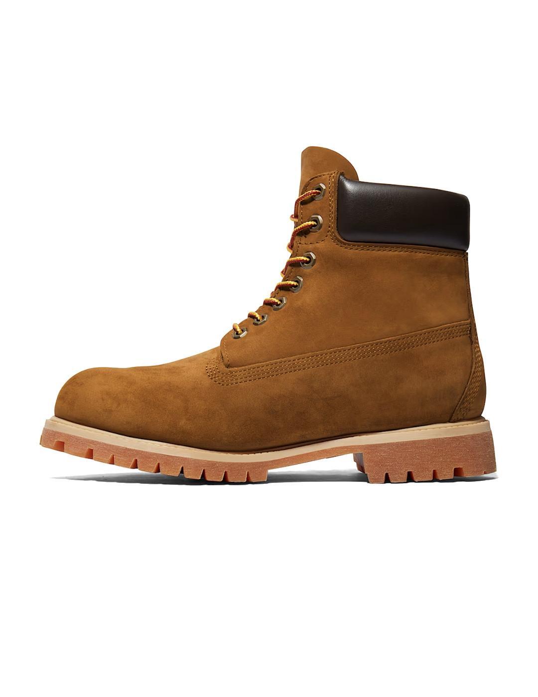 Botas para Homem Timberland Premium Marrom 2/7
