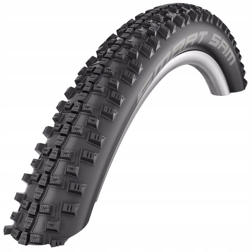 SCHWALBE picture