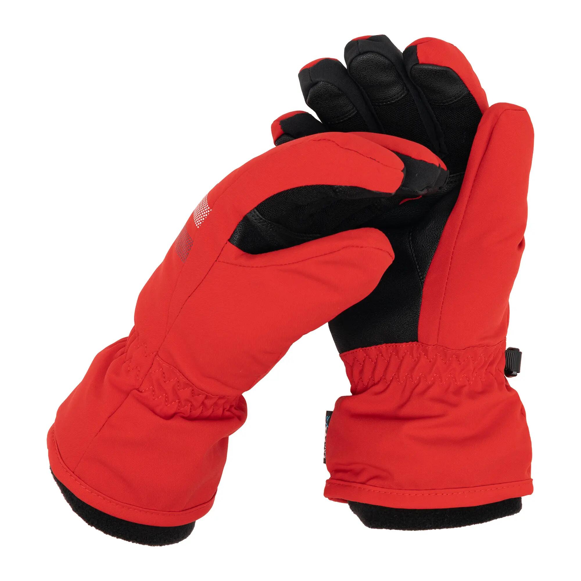 ROSSIGNOL picture