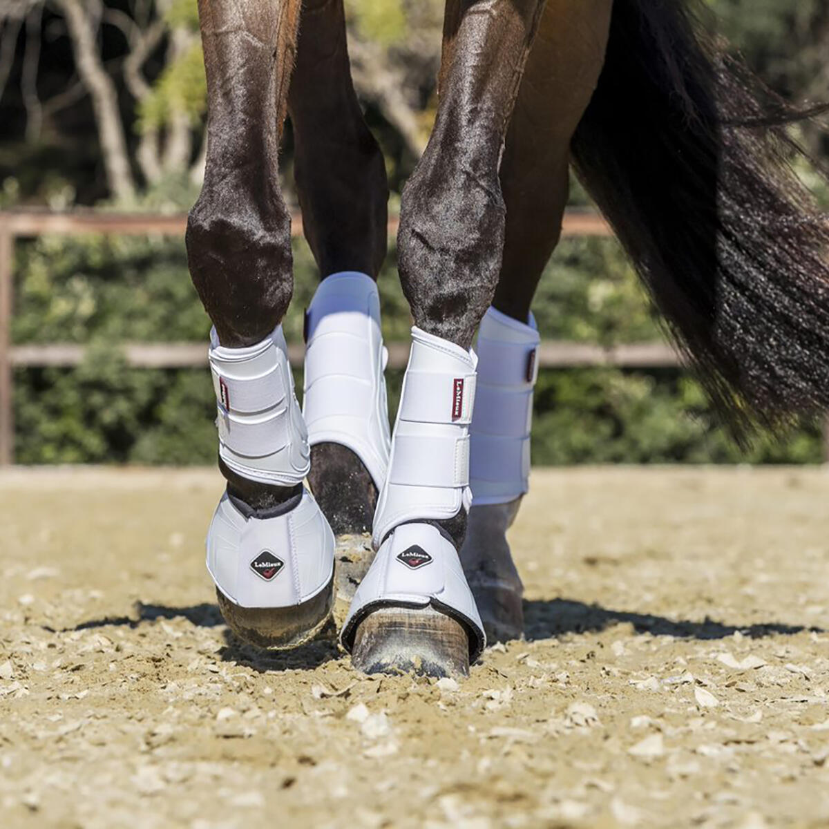 Springschoenen LeMieux Proshell Wit | Maat: L 2/4