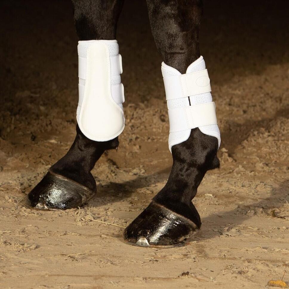 Ochraniacz na konia Harry's Horse Beenbeschermers Flextrainer Air mesh