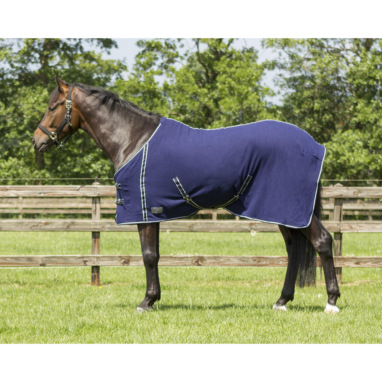 QHP Coperta in pile per cavalli con Sottopancia Q-essentials
