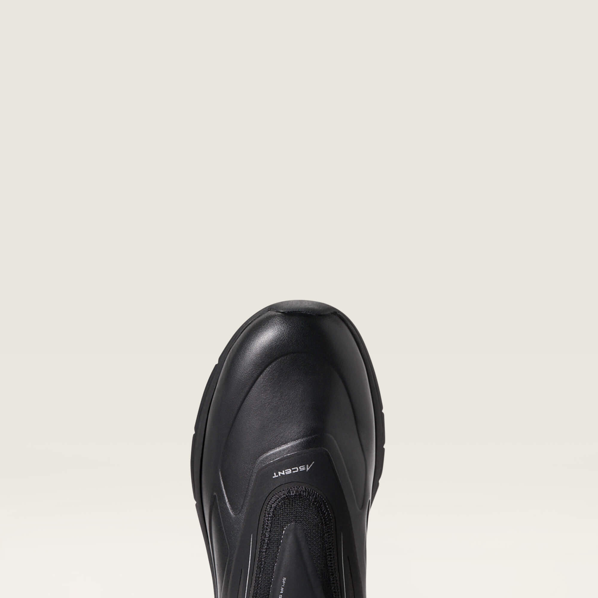Bottes d'équitation Ariat Ascent Tall 5/5