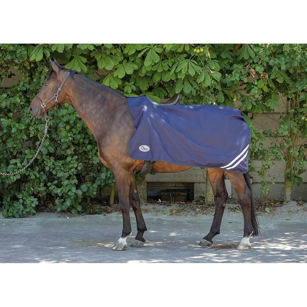Nierendecke für Pferde Harry's Horse 0g 2/2