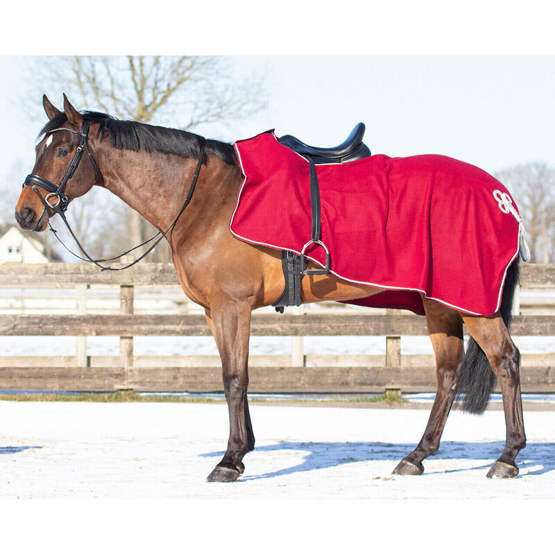 QHP Couvre-reins Réfléchissant Pour Cheval – Maille Légère, Bandes Réfléchissantes, Tailles S à XL