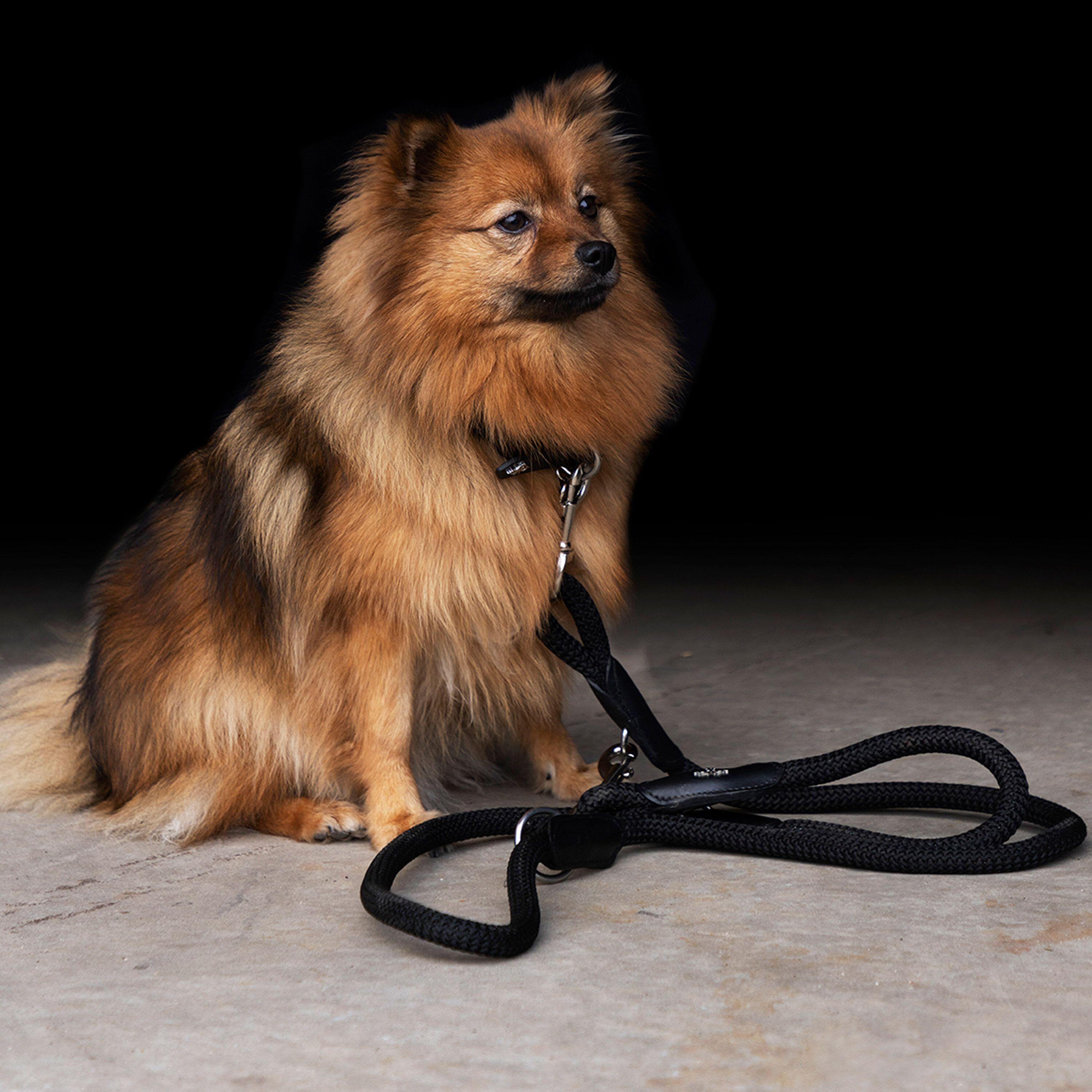 Hundehalsband HV Polo Franka Rope 2/2