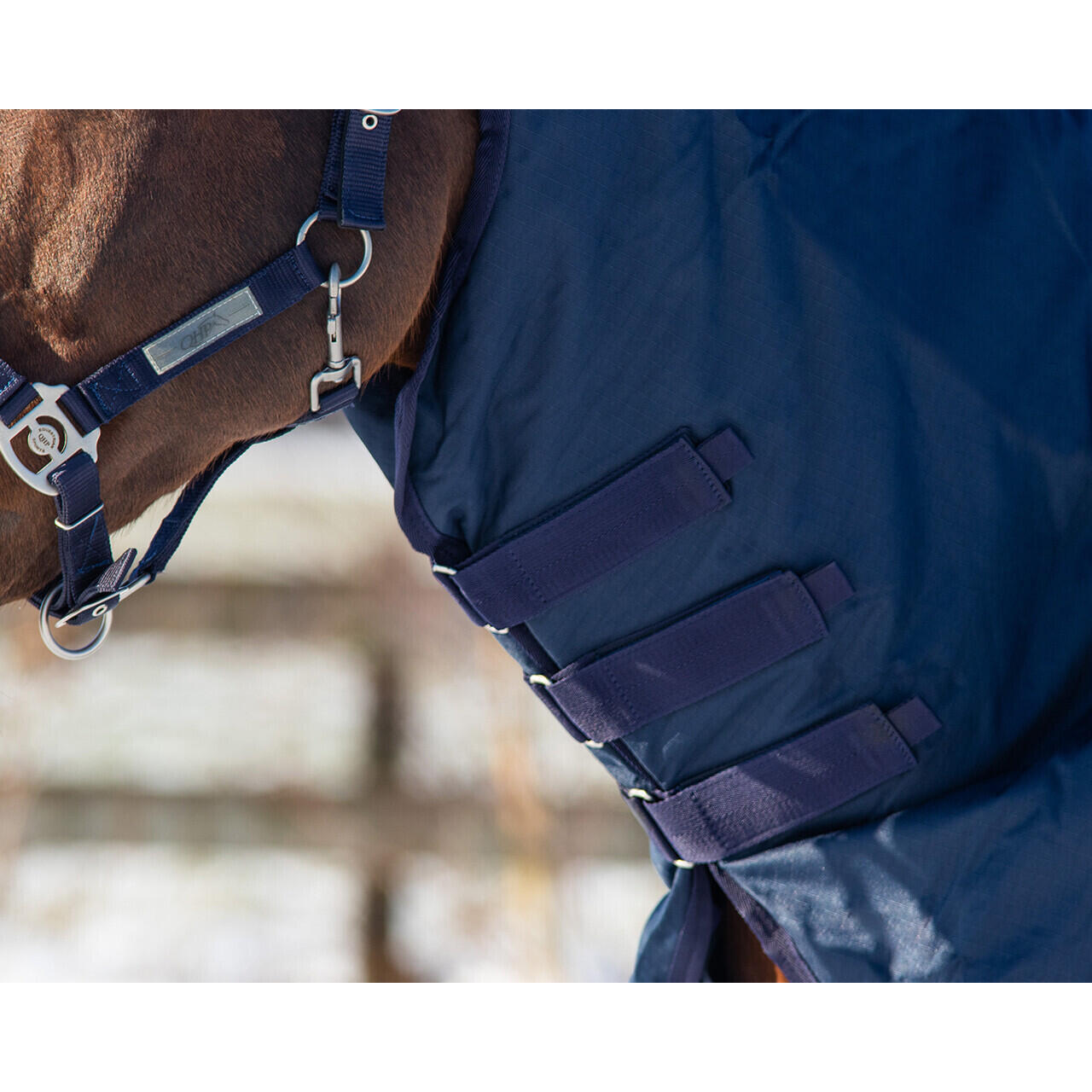 Couvre-cou pour cheval imperméable QHP 200 g 4/5
