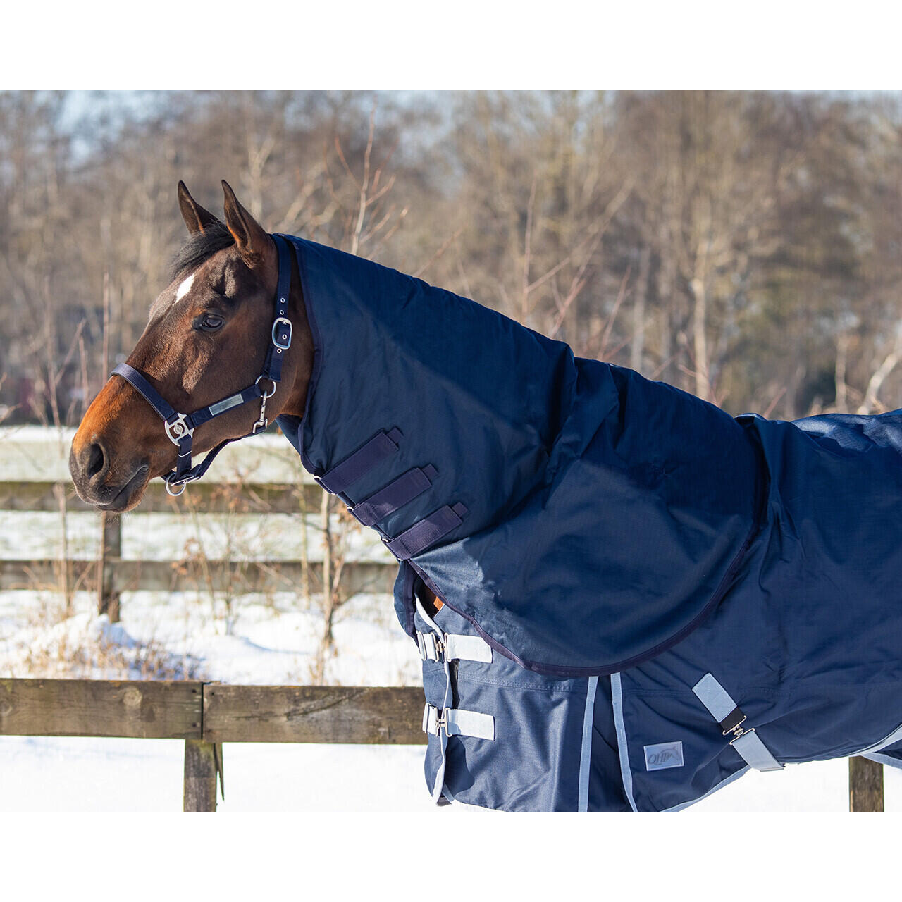 Couvre-cou pour cheval imperméable QHP 200 g 2/5