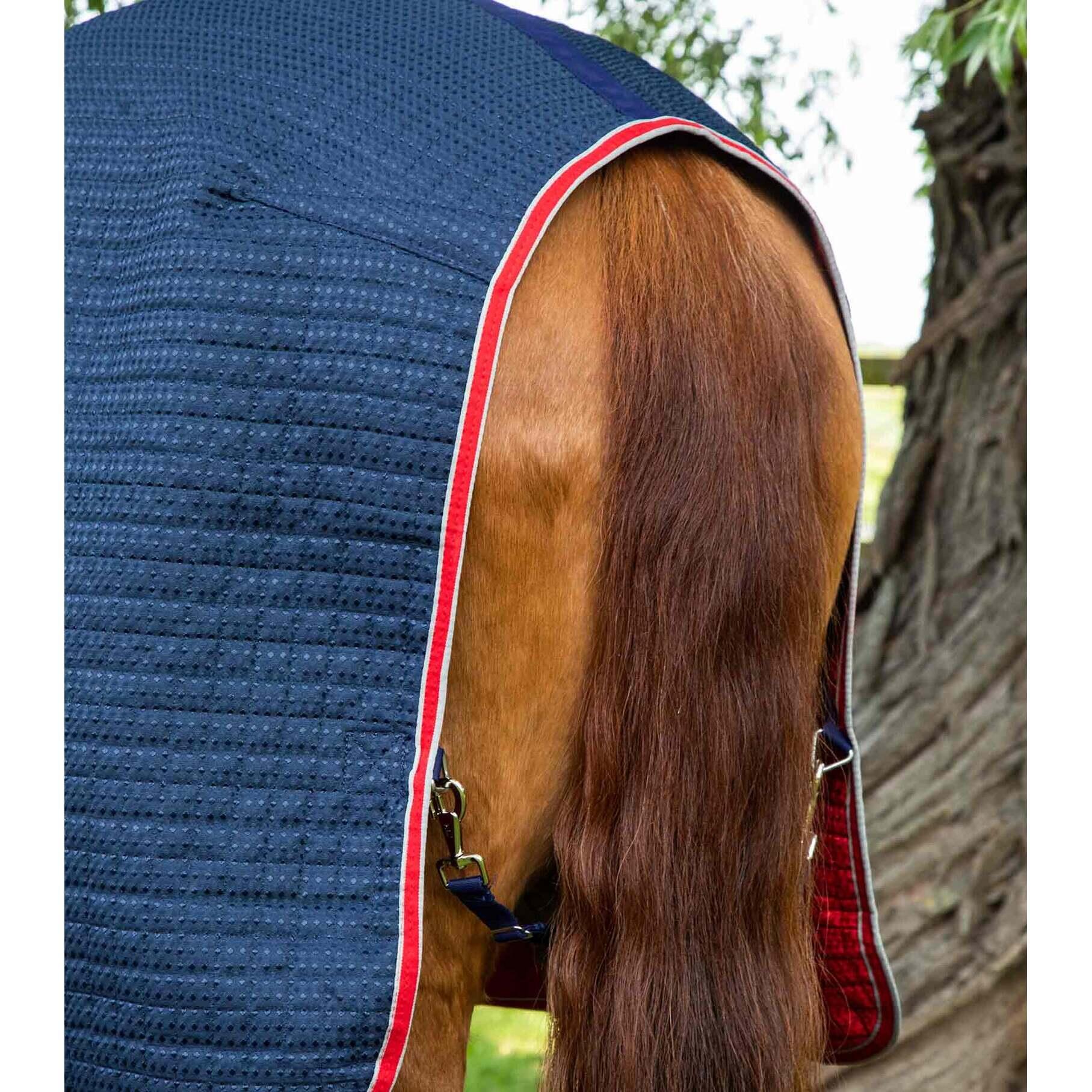 Seconde vie - Couverture de marcheur pour cheval Premier Equine Walker 0 g 5/5