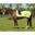 Couvre-reins pour cheval refléchissante QHP