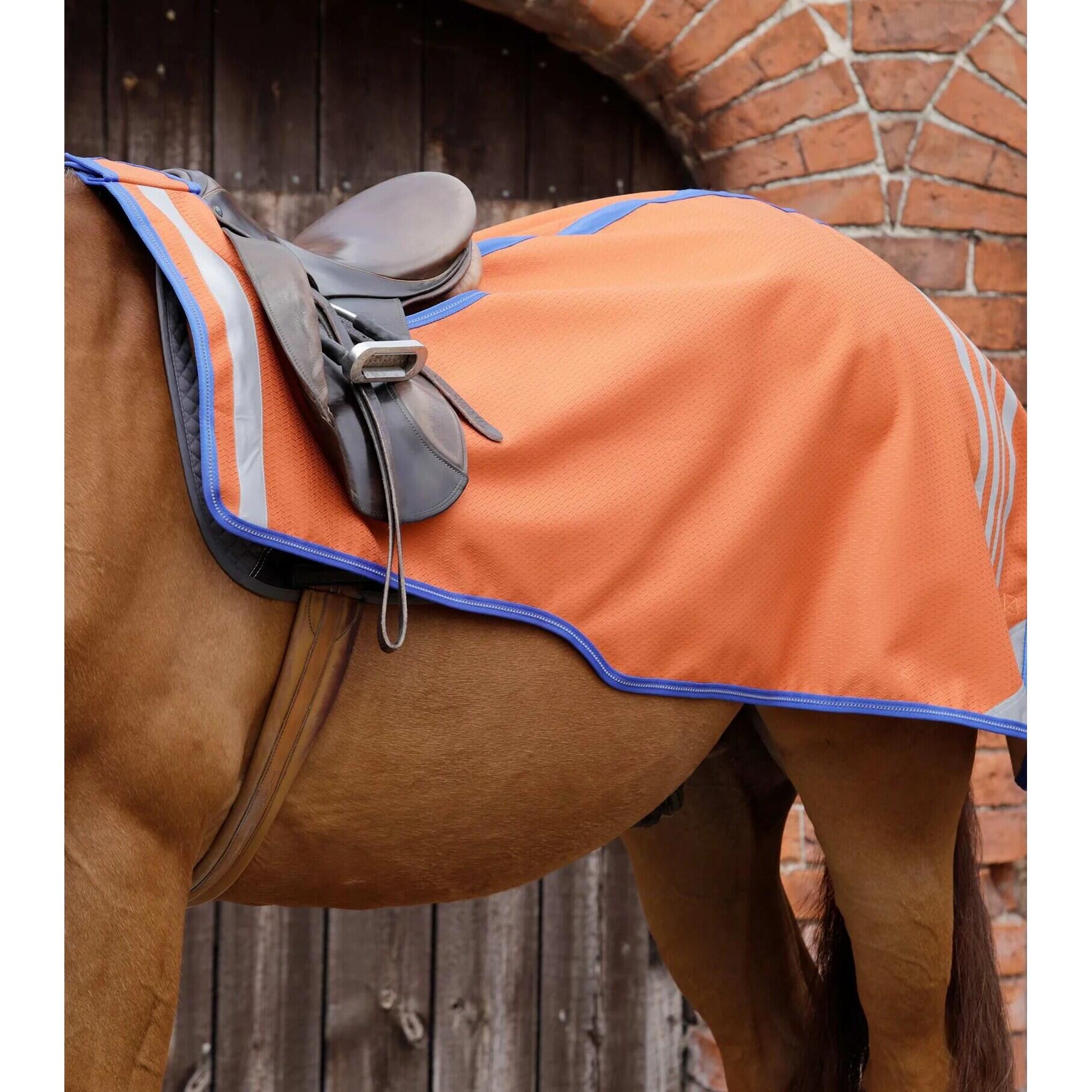 PREMIER EQUINE Copertura renale per cavalli Premier Equine Stratus