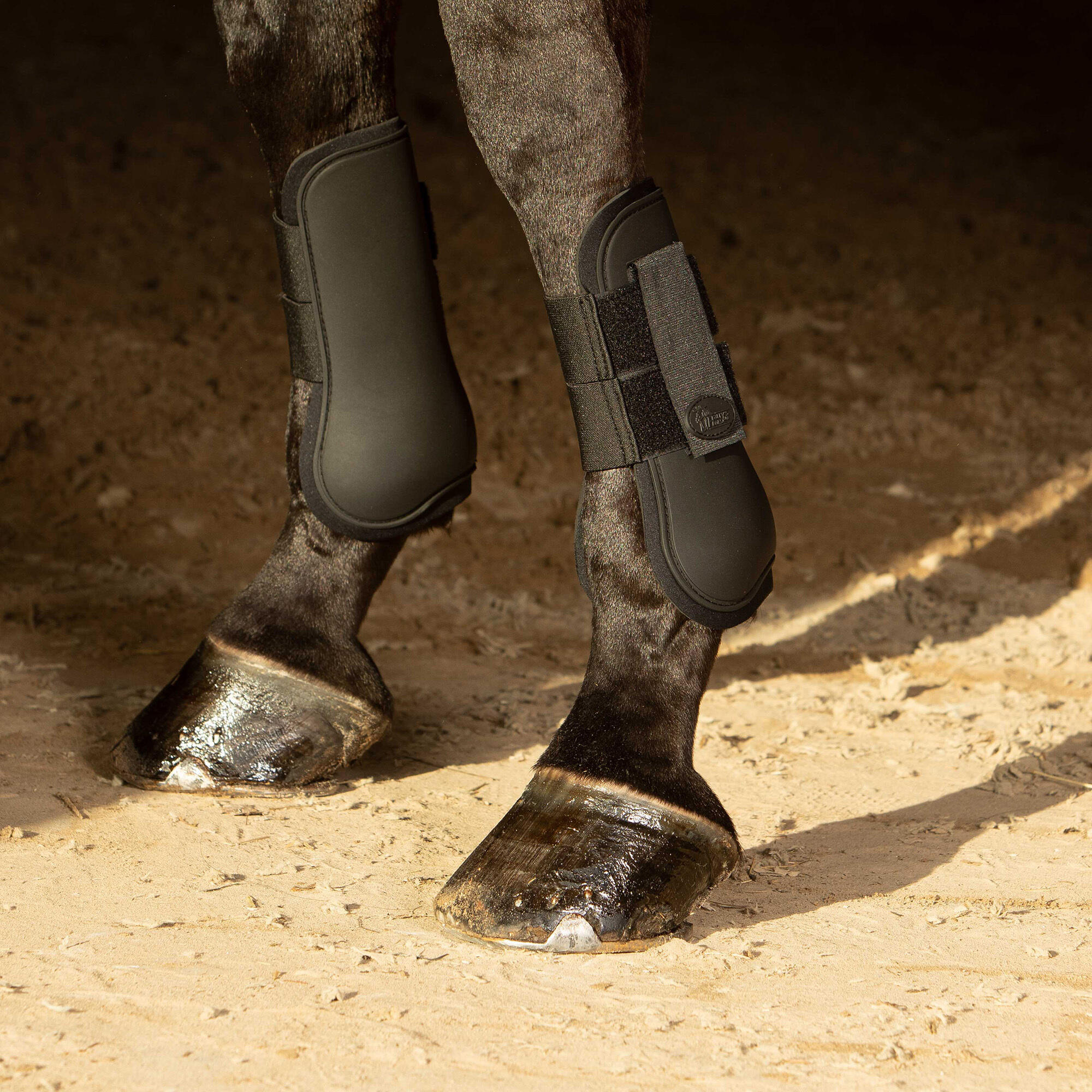 Basis peesbeschermer voor paarden Harry's Horse 2/2