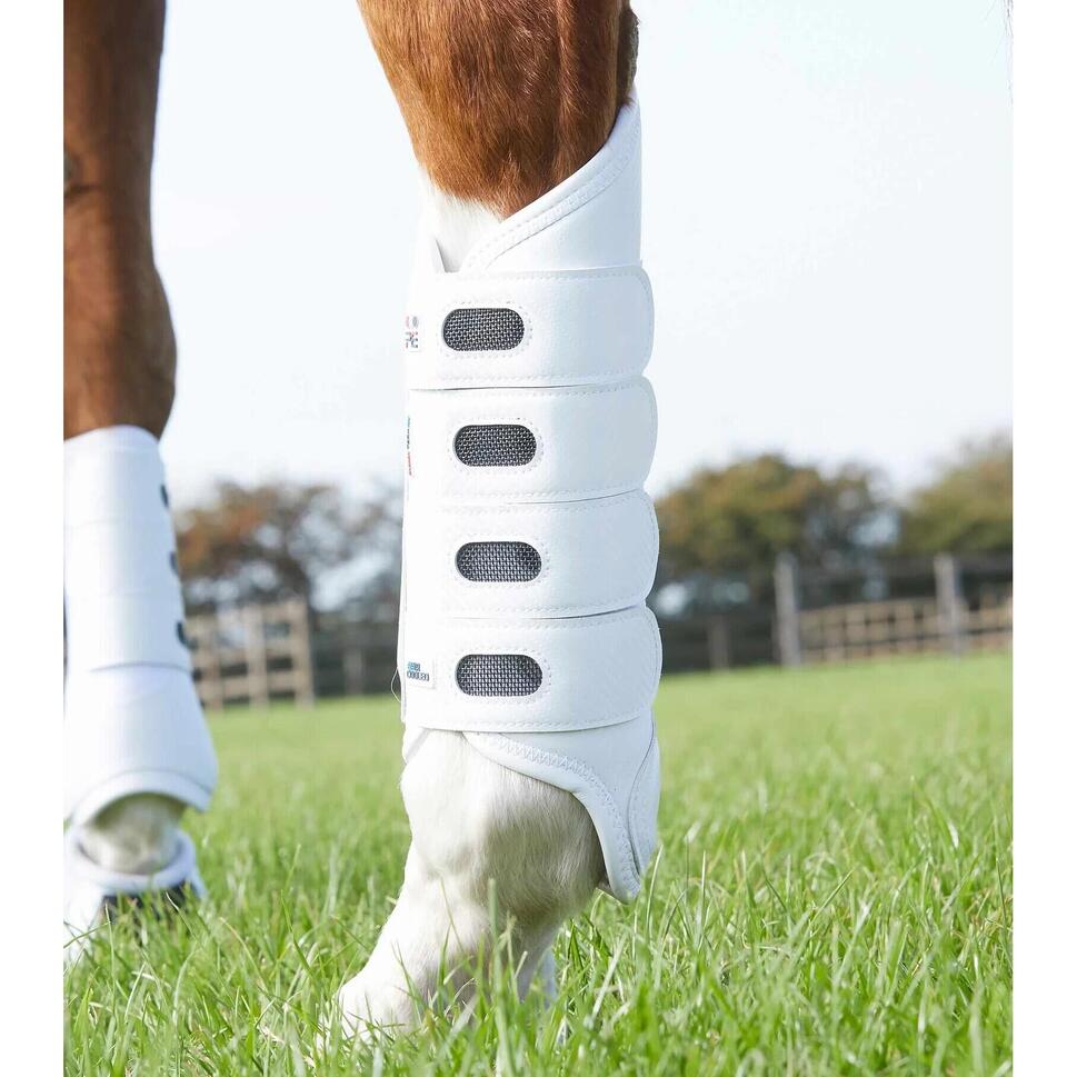 Ochraniacze crossowe dla koni tylne premier Equine Carbon tech air Cooled