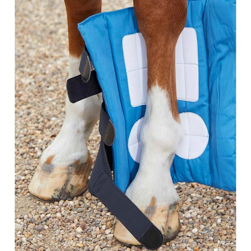 Magnetyczne Ochraniacze dla koni Premier Equine Magni-Teque