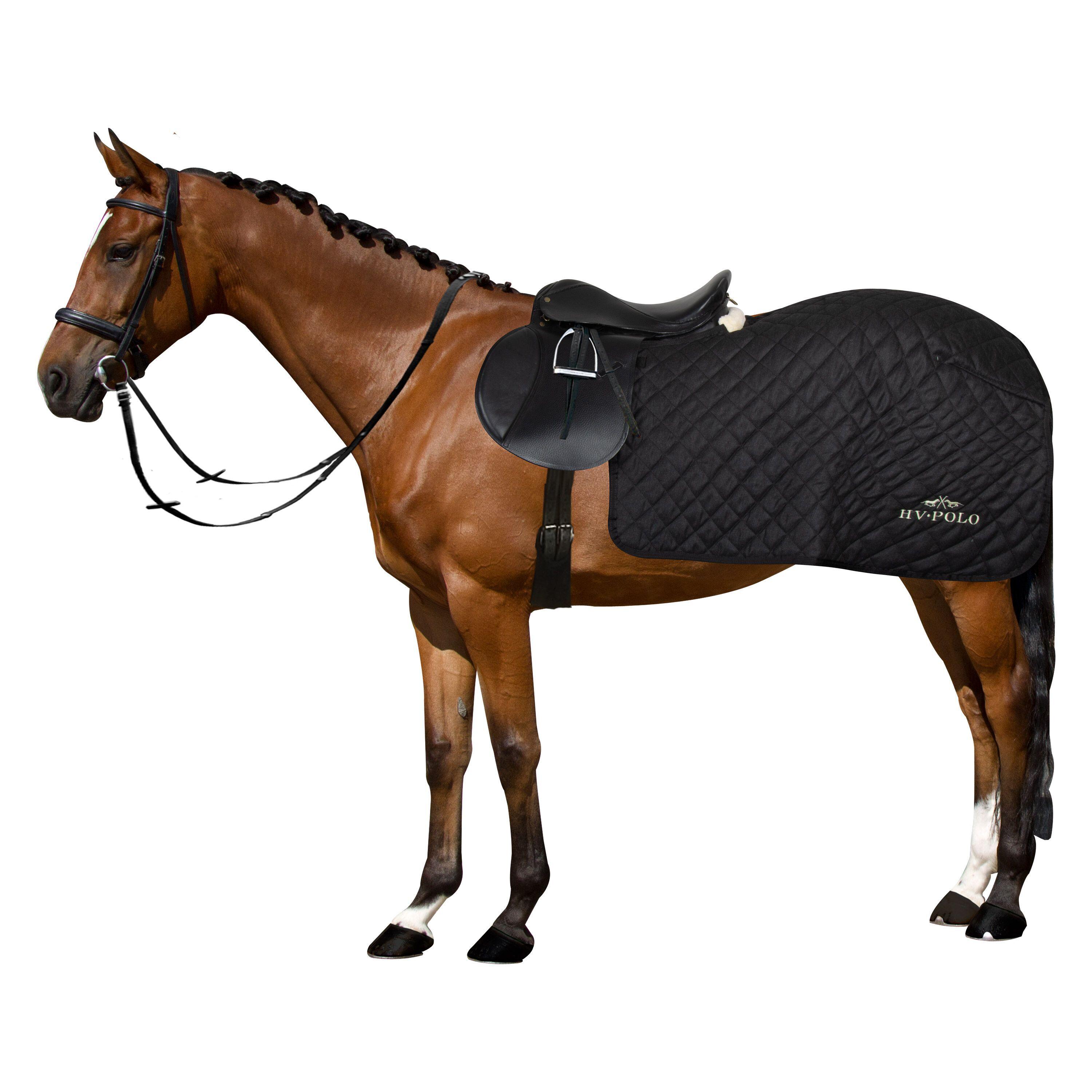 Couvre rein cheval couvre rein impermeable polaire couvre rein poney