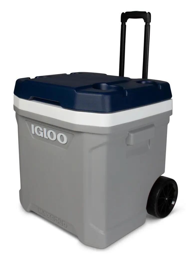 IGLOO picture