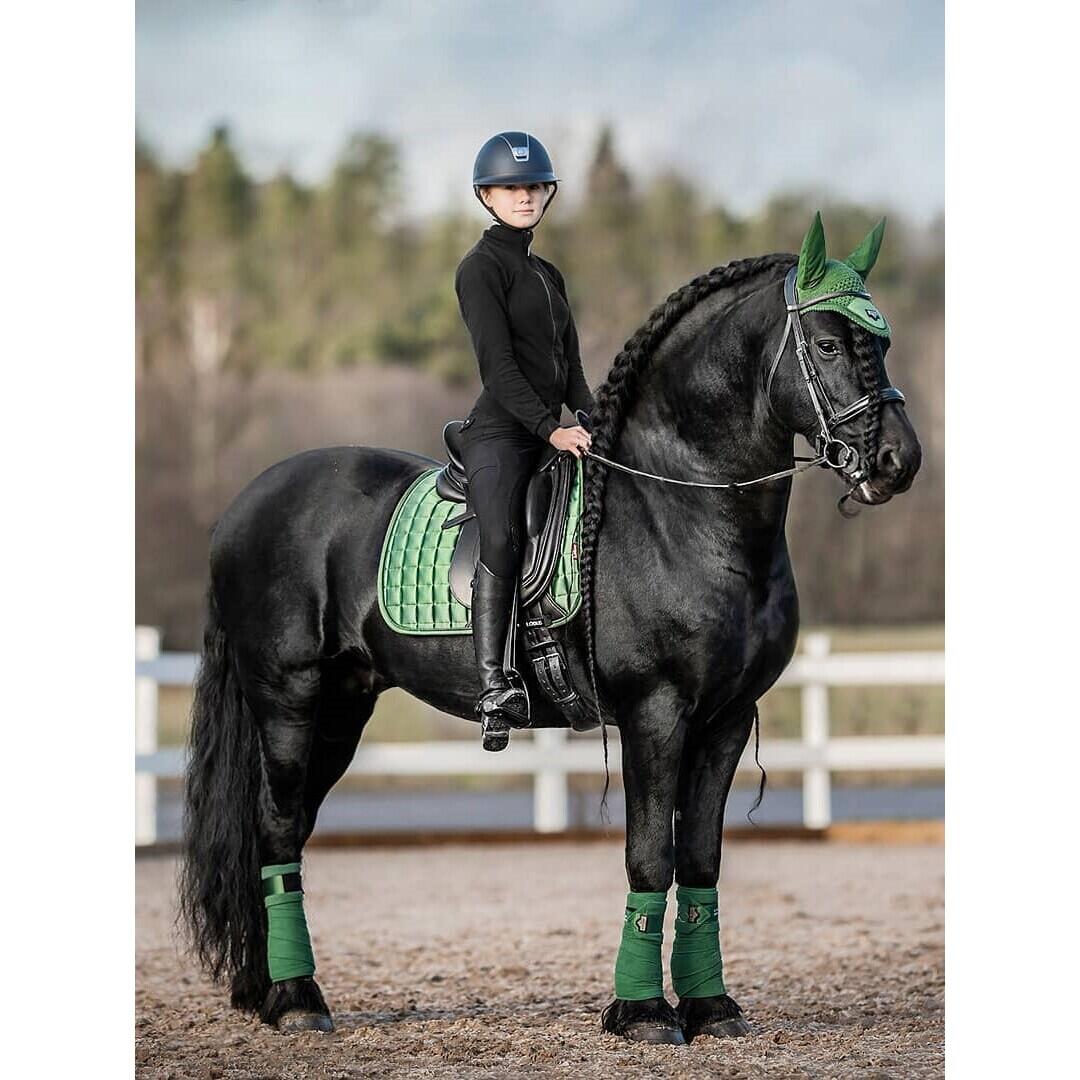 Paardenpolobanden LeMieux Loire 2/2