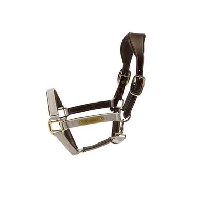 Anatomisch halster - zwart - nylon - maat cob