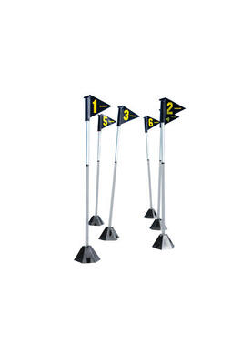 6 LED-Slalomstangen (mit Fernbedienung)
