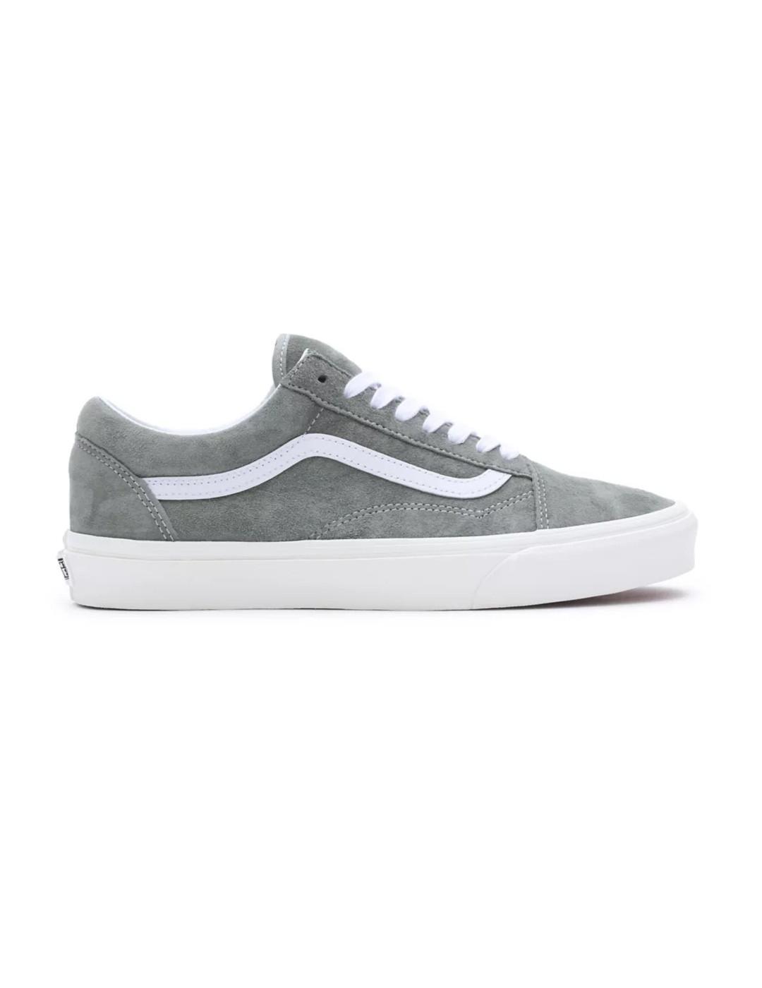 VANS picture