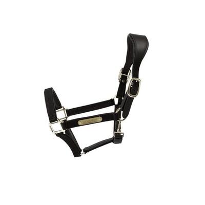 Anatomisch halster - zwart - nylon - maat cob