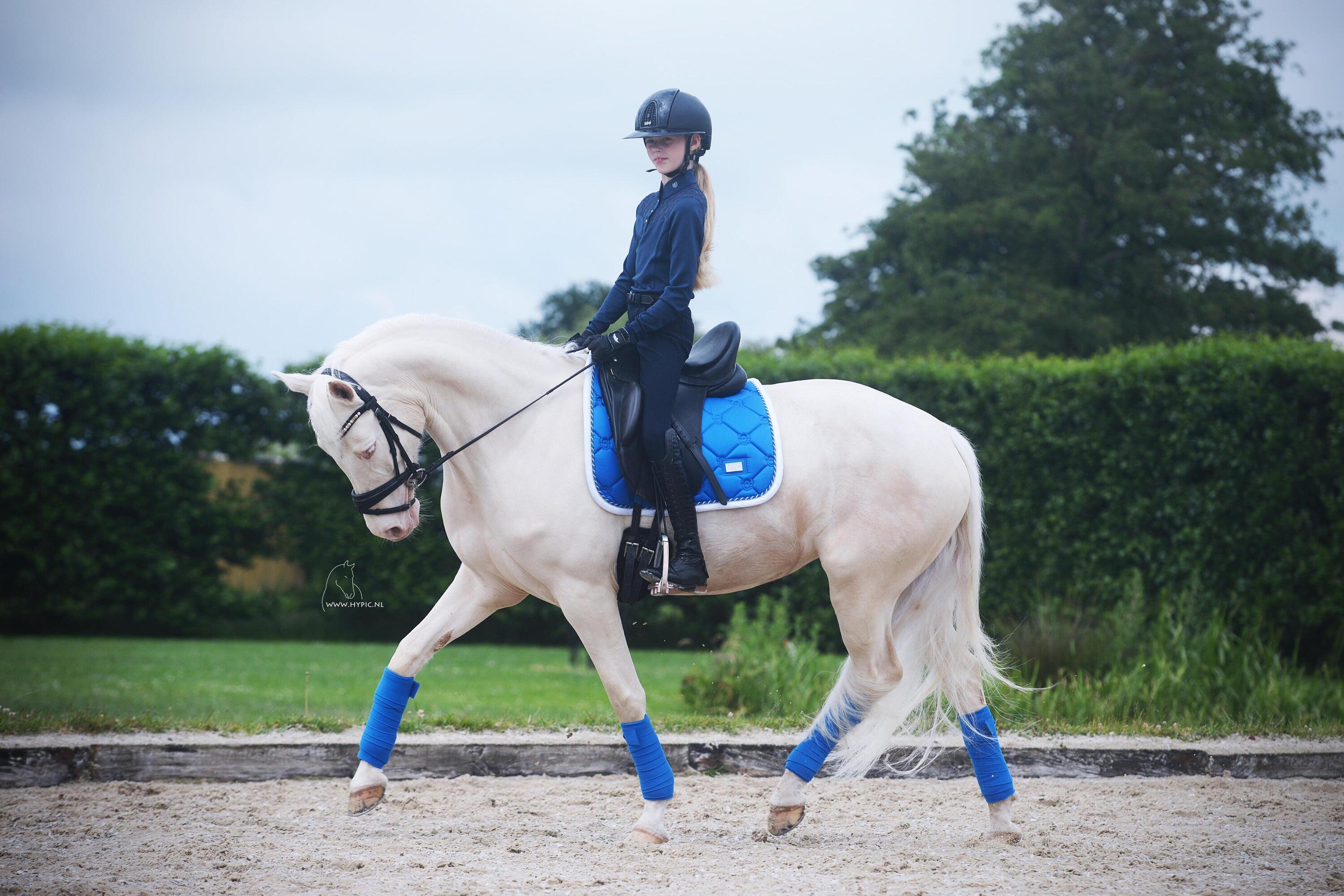 EQUESTRIAN STOCKHOLM picture