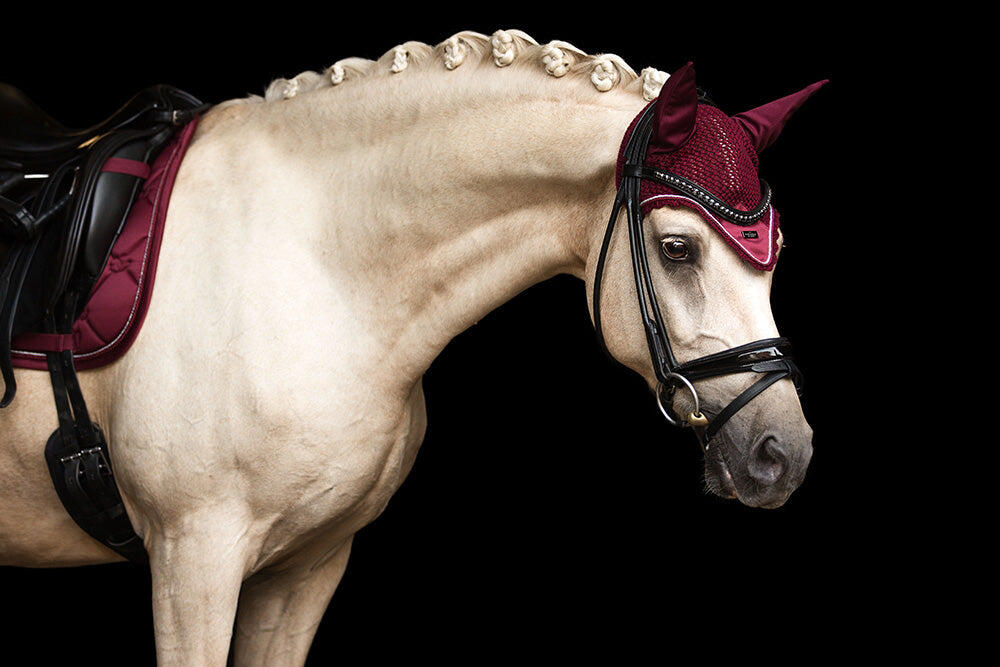 EQUESTRIAN STOCKHOLM picture