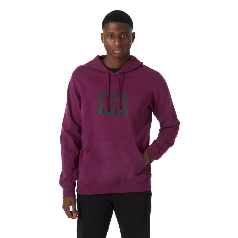 Helly Hansen Box Hoodie Herren