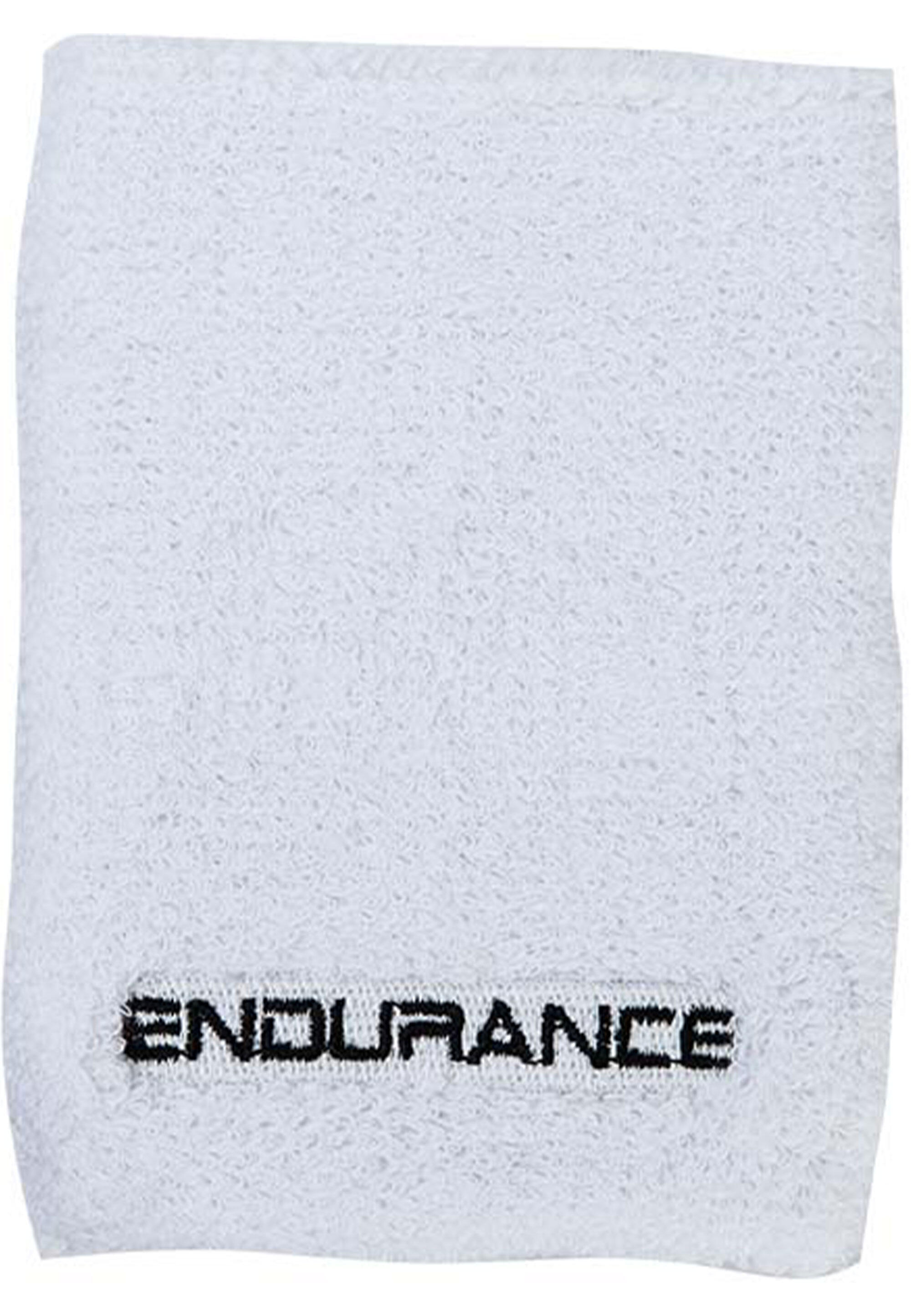 ENDURANCE picture
