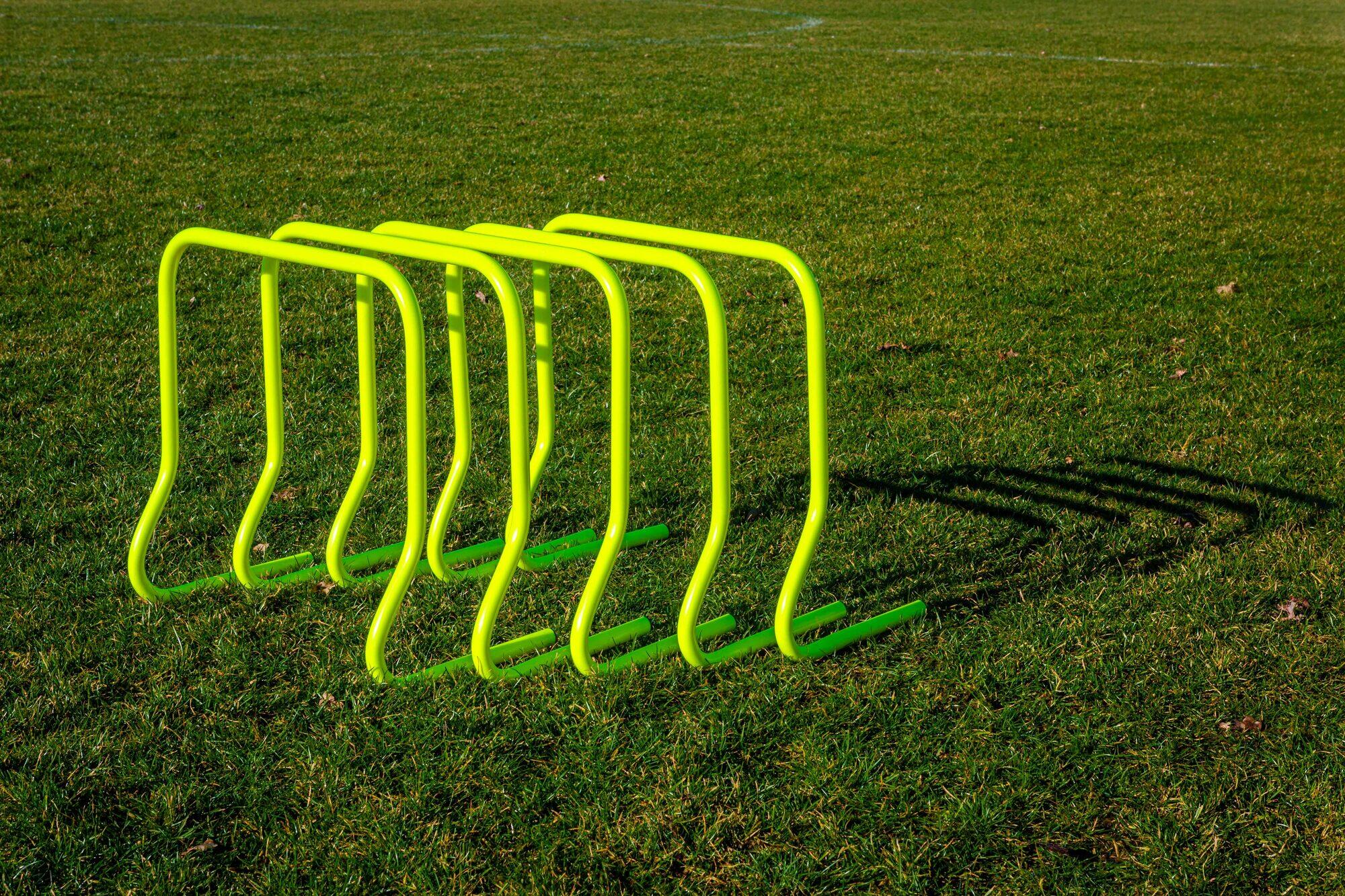 POWER SHOT 5er-Set Hecken - 45cm